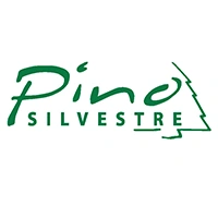 Pino Silvestre