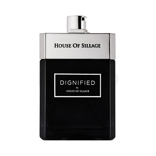 ادو پرفیوم مردانه هاوس آف سیلیج Dignified حجم 75ml