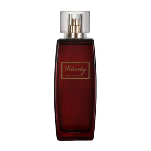 ادو پرفیوم زنانه ورسای Wanty حجم 100ml