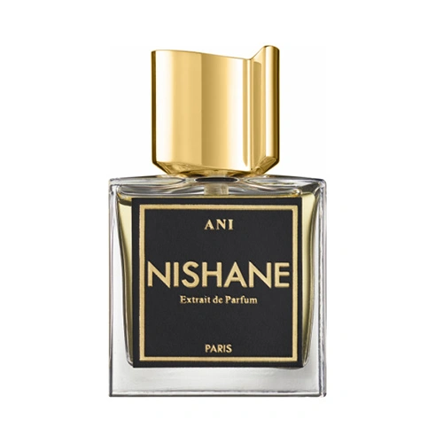اکستریت د پرفیوم اسپورت نیشان Ani حجم 100ml