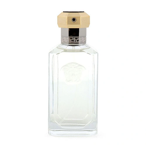 ادو تویلت مردانه ورساچه Dreamer Versace حجم 100ml