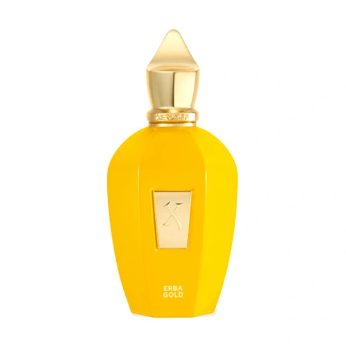 ادو پرفیوم اسپورت زرجف Erba Gold حجم 100ml