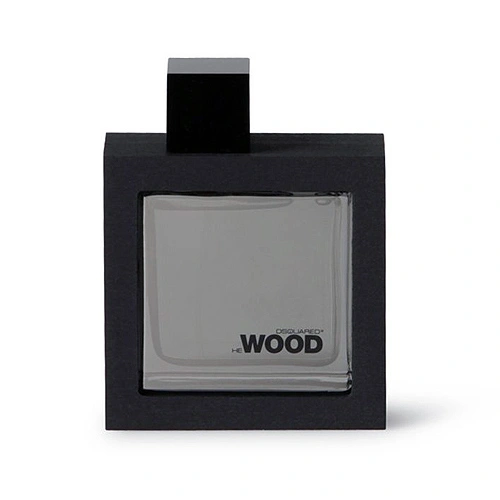 ادو تویلت مردانه دیسکوارد He Wood Silver Wind Wood حجم 100ml