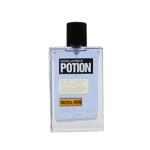 ادو تویلت مردانه دیسکوارد Potion Blue Cadet حجم 100ml