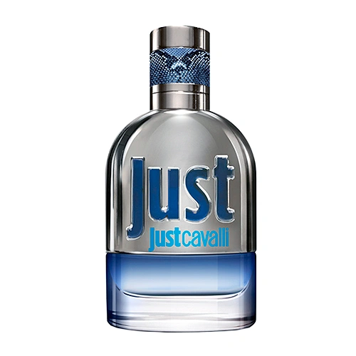 ادو تویلت مردانه روبرتو کاوالی Just Cavalli حجم 90ml