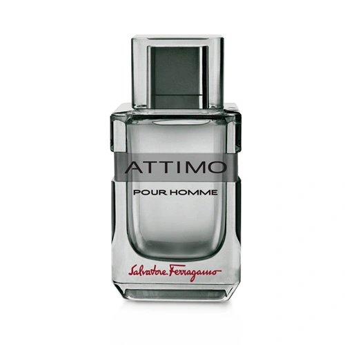 ادو تویلت مردانه سالواتوره فراگامو Attimo Pour Homme حجم 100ml
