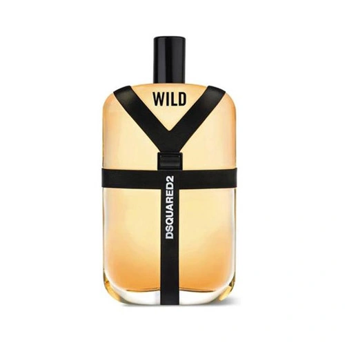 ادو تویلت مردانه دیسکوارد Wild حجم 100ml