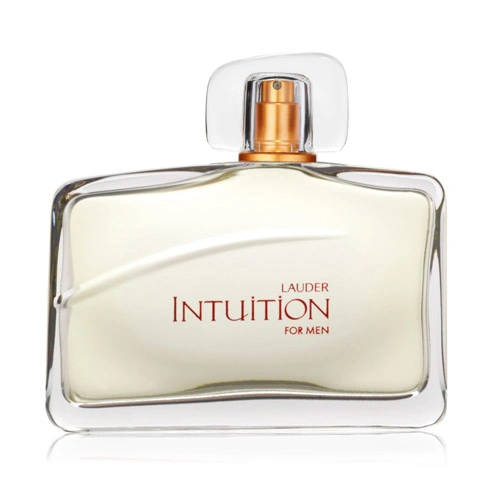 ادو پرفیوم مردانه استی لودر Intuition حجم 100ml