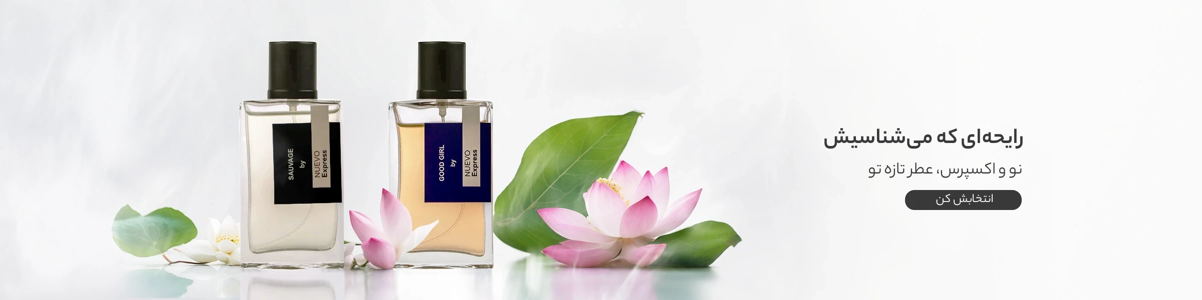 تصویر اسلایدشو