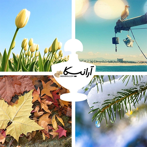 عطر و فصل ها