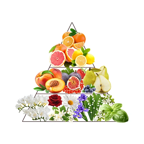 نت چیست ؟ معرفی و بررسی بیش از 700 نت سازندۀ عطر و ادوکلن