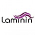 Laminin